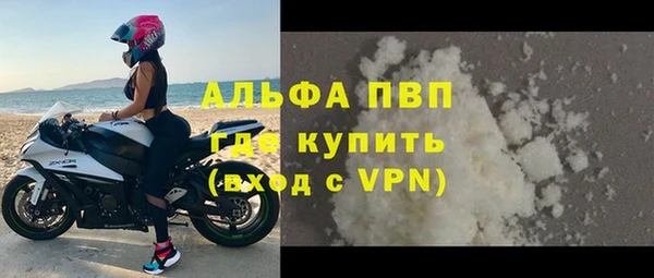 индика Надым