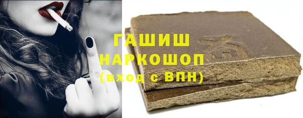 индика Надым