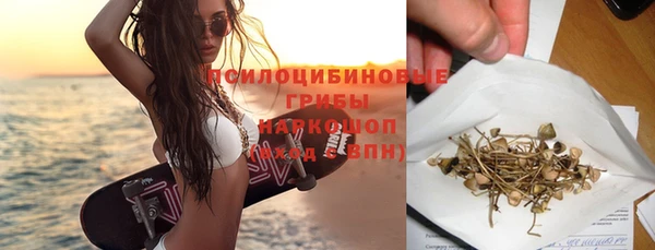 индика Надым