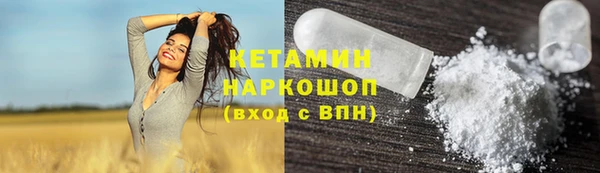 индика Надым