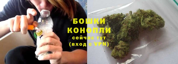 индика Надым