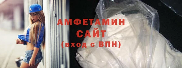 индика Надым