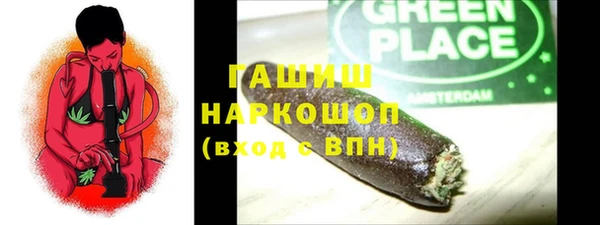 индика Надым