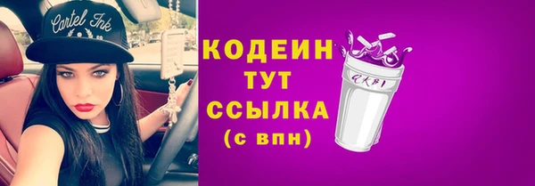 индика Надым