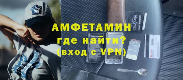 индика Надым