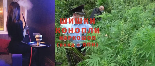 индика Надым
