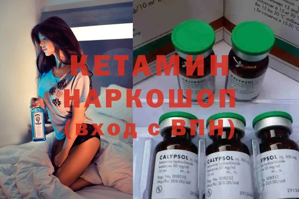 индика Надым