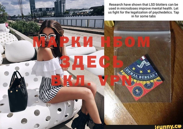индика Надым