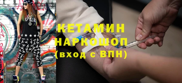 индика Надым