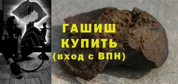 индика Надым